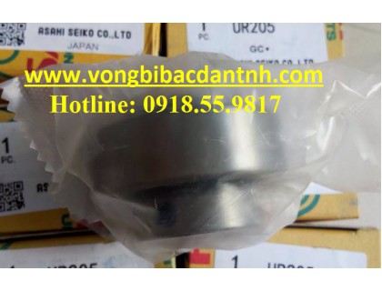 VÒNG BI UR207
